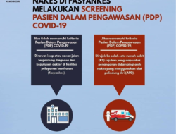 Analisis Respons Negara Asing terhadap Kebijakan Lingkungan Indonesia Menguak Dukungan dan Tantangan