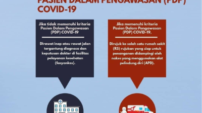 Analisis Respons Negara Asing terhadap Kebijakan Lingkungan Indonesia Menguak Dukungan dan Tantangan